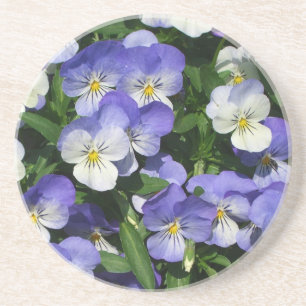 Paarse Pansies Garden Floral Zandsteen Onderzetter