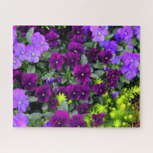 Paarse Pansies Jigzaag Puzzle Legpuzzel
