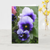 Paarse Pansies Kaart (Gele Bloem)