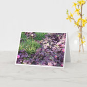 Paarse Pansies Kaart (Gele Bloem)