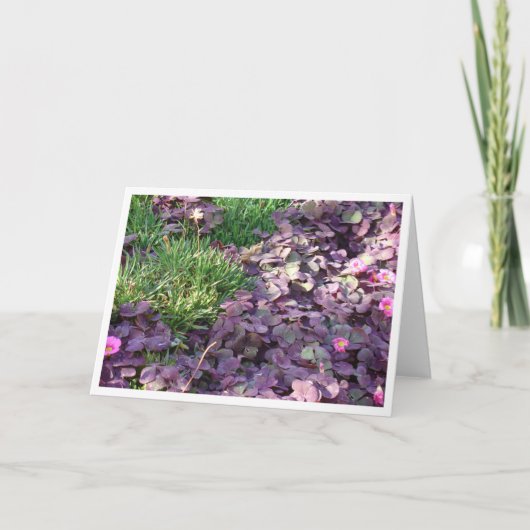 Paarse Pansies Kaart (Voorkant)