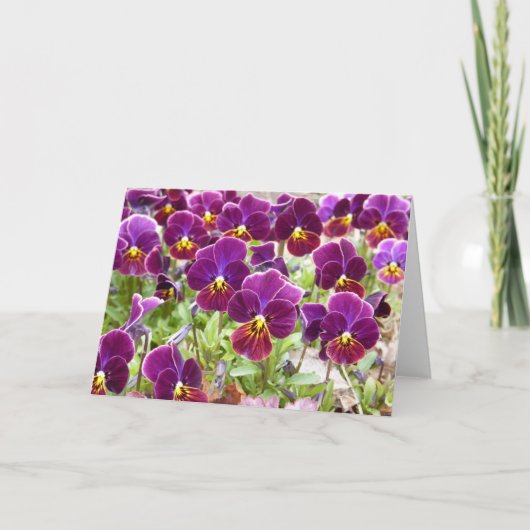 Paarse Pansies Kaart (Voorkant)