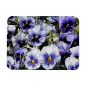 Paarse Pansies Magneet (Horizontaal)
