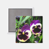 Paarse pansies - Magneet (Voorkant / Achterkant)