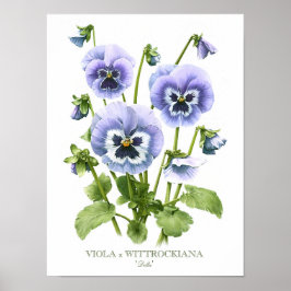 Paarse Pansies Originele Kunstafdrukken Poster