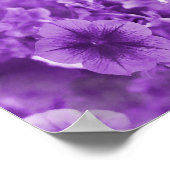 Paarse Pansies... Poster (Hoek)