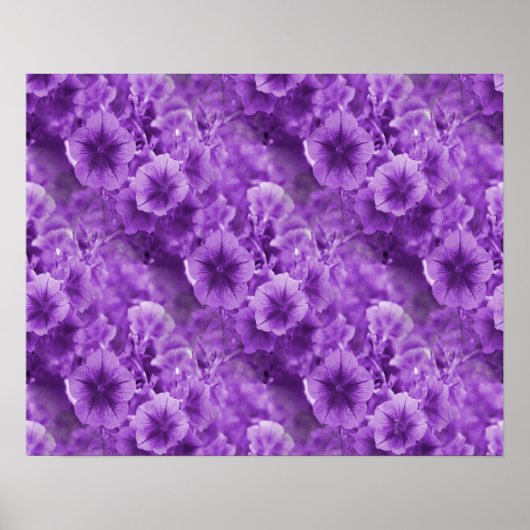 Paarse Pansies... Poster (Voorkant)