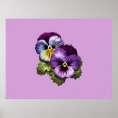  Paarse Pansies Poster (Voorkant)
