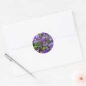"Paarse Pansies" van Jenny Koch Ronde Sticker (Envelop)