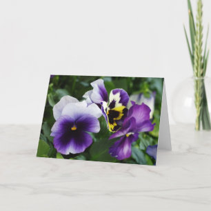 Paarse Pansies Wenskaart Kaart
