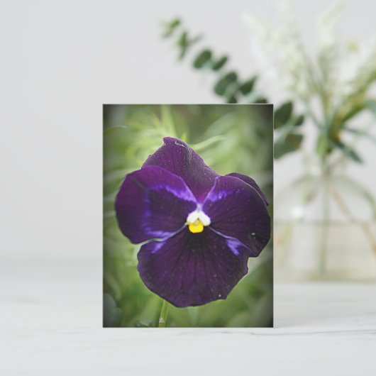 Paarse Pansy Briefkaart (Staand voorkant)