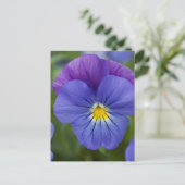 Paarse Pansy Briefkaart (Staand voorkant)