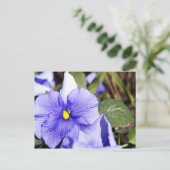 Paarse Pansy Briefkaart (Staand voorkant)