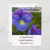Paarse Pansy - Cheerfulness Briefkaart (Voorkant / Achterkant)