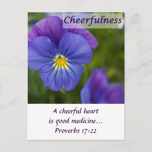 Paarse Pansy - Cheerfulness Briefkaart (Voorkant)
