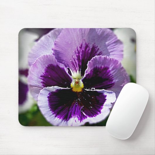 Paarse Pansy close-up Muismat (Met muis)