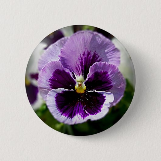 Paarse Pansy close-up Ronde Button 5,7 Cm (Voorkant)
