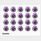 Paarse Pansy close-up Ronde Sticker (Vel)