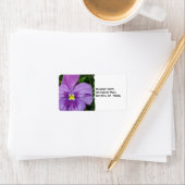 Paarse Pansy Etiket (Insitu)