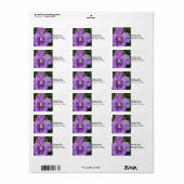 Paarse Pansy Etiket (Full Sheet)