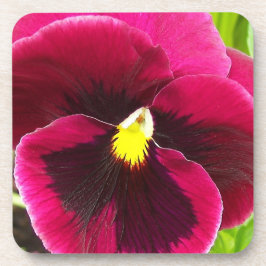  Paarse Pansy Floral Bier Onderzetter