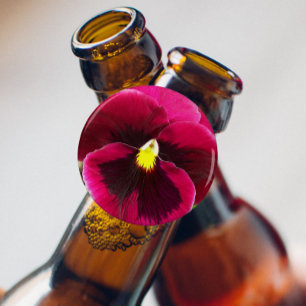  Paarse Pansy Floral Button Flesopener