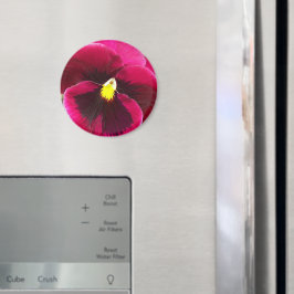 Paarse Pansy Floral Magneet