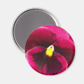  Paarse Pansy Floral Magneet (Voorkant / Achterkant)