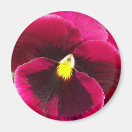  Paarse Pansy Floral Magneet