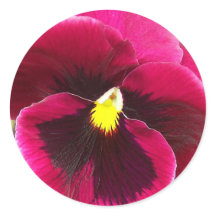  Paarse Pansy Floral