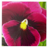  Paarse Pansy Floral Tegeltje (Voorkant)