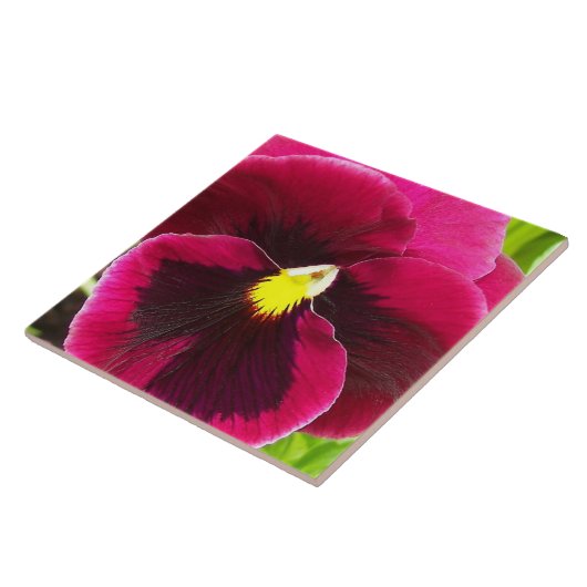  Paarse Pansy Floral Tegeltje (Zijkant)