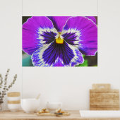 Paarse Pansy Flower Poster Art (Keuken)
