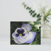 Paarse Pansy Flowers Briefkaart (Staand voorkant)