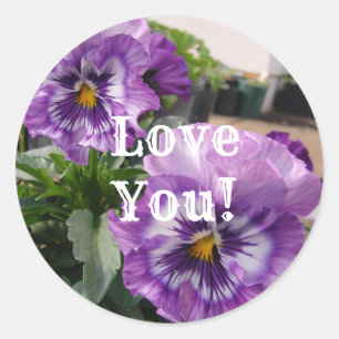 Paarse Pansy Fotobloemen bloemenliefde Sticker Set