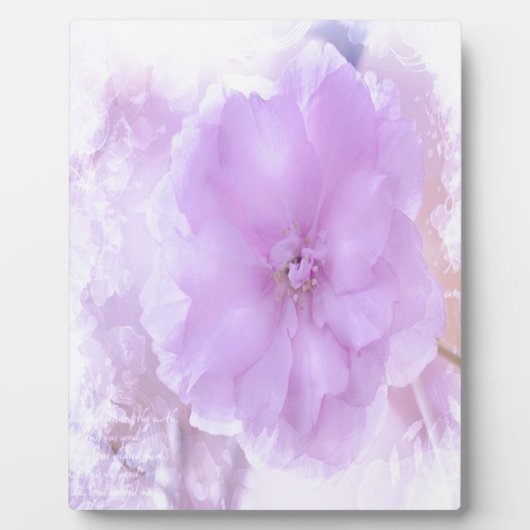 Paarse Pansy Fotoplaat (Voorkant)