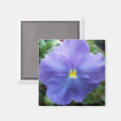 Paarse Pansy Magneet (Voorkant / Achterkant)