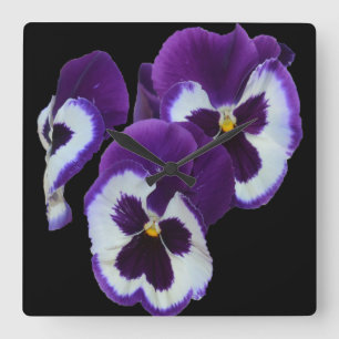 Paarse Pansy Portrait Vierkante Klok