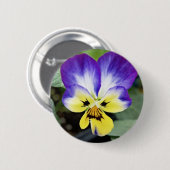 Paarse Pansy Ronde Button 5,7 Cm (Voorkant /achterkant)