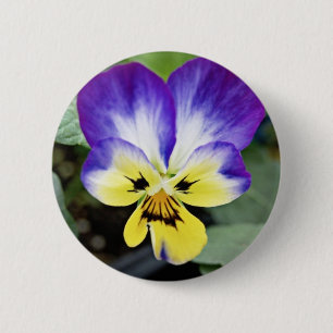 Paarse Pansy Ronde Button 5,7 Cm