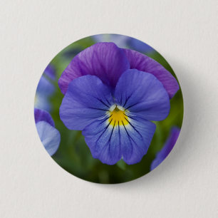 Paarse Pansy Ronde Button 5,7 Cm