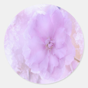 Paarse Pansy Ronde Sticker