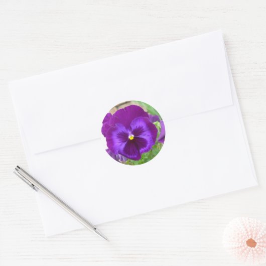 Paarse Pansy Stickers (Envelop)