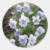 Paarse Pansy Stickers envelop afdichtingen (Voorkant)