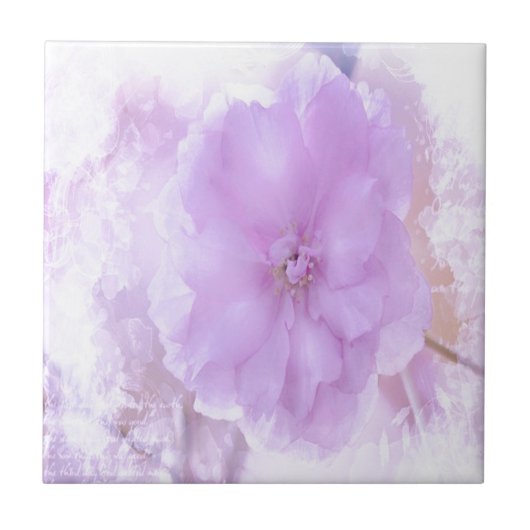 Paarse Pansy Tegeltje (Voorkant)