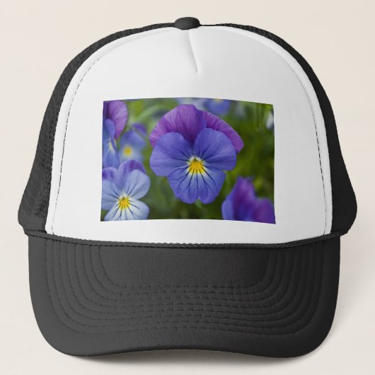 Paarse Pansy Trucker Pet (Voorkant)