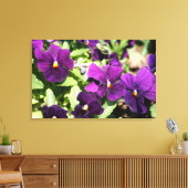 Paarse Pansy verpakte kunstdoek Canvas Afdruk (Insitu (Woonkamer))