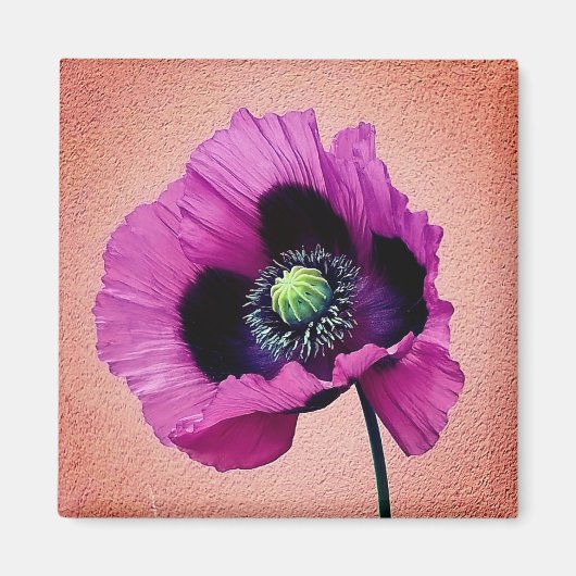 Paarse papaver magneet (Voorkant)