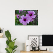 Paarse papaver poster (Thuiskantoor)