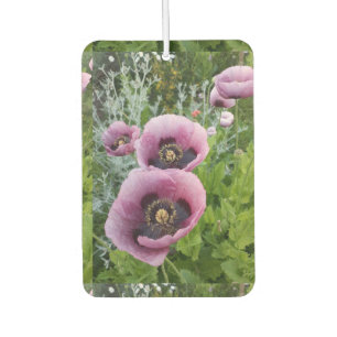 Paarse papaver Vloerauto Luchtverfrisser